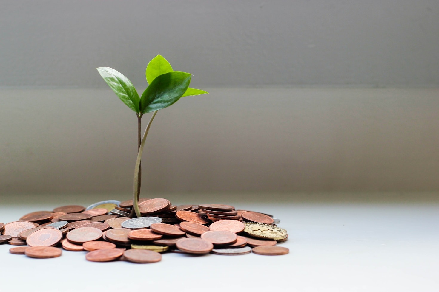 Bridging Financial Gaps for Local Communities
